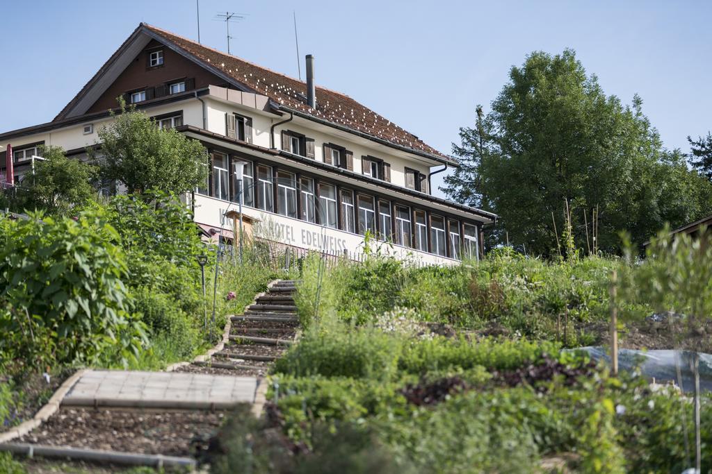 Kraeuterhotel Edelweiss Rigi Kaltbad Exterior photo